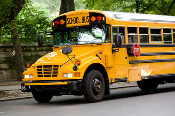 Schulbus auf den Straßen von New York City - 24981998