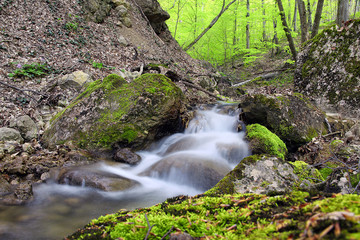 landscape with a waterfall in forest
