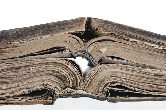 An opened Bible.