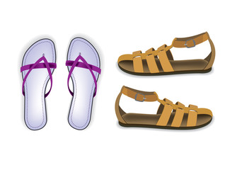 Slipper and sandal vector