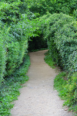 Weg im Grünen