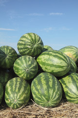 Watermelon over blue sky