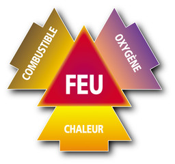 Incendies de forêts - Le triangle du feu