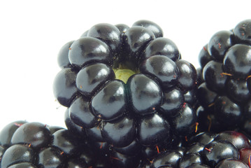 blackberry