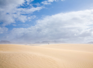 Fototapeta na wymiar Wyspy Kanaryjskie, Fuerteventura, wydmy Corralejo