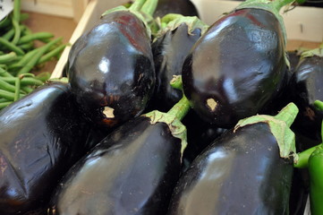 Auberginen