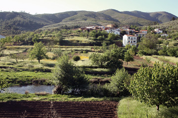 Sauceda (Hurdes, España)