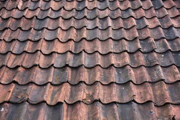 Tiles of a roof