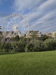 Fototapeta premium Museo del Louvre en Paris