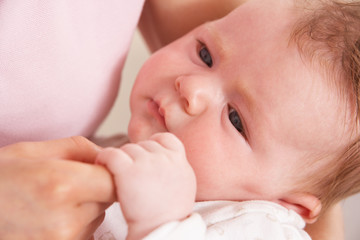 Close Up Of Baby Boy Holding Mothers Hand