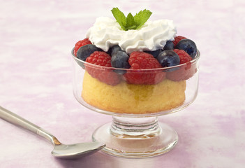 Fruit cup