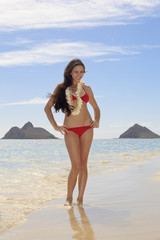 beautiful young woman at the beach in hawaii