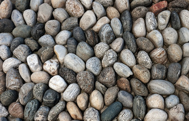 Pebbled wall (big pebble-dash)