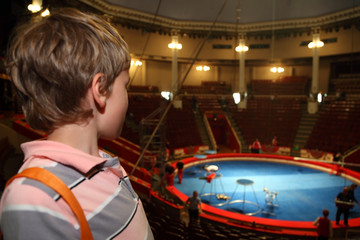 little boy in circus with blue arena waiting for performance