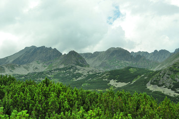 mountains