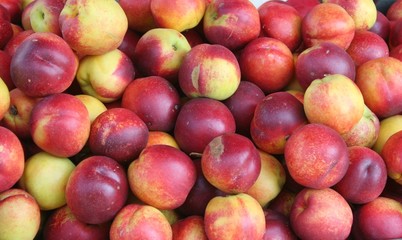 Nectarines background