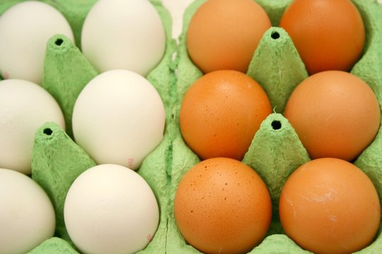 Frische Eier