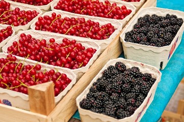 Brombeeren und Johannisbeeren auf dem Wochenmarkt