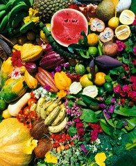 Obst, Zitrusfrüchte, Gemüse, Vitamine