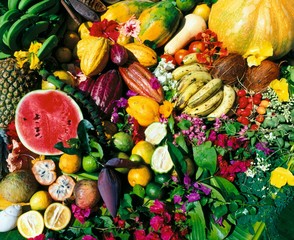 Obst, Zitrusfrüchte, Gemüse, Vitamine