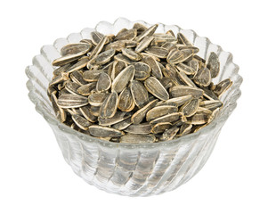 Sunflower seed isolated on white with clipping path