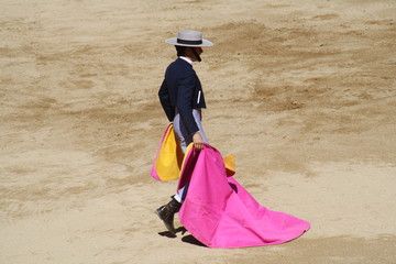 Festival taurino sanfemines, 13 de julio de 2010, Pamplona.