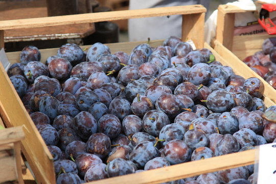 Zwetschgen - Plums
