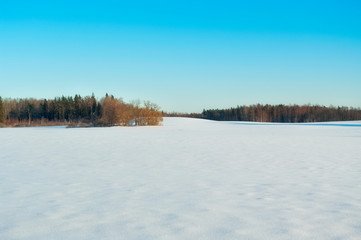 Obraz premium Winter landscape.