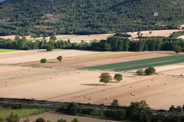 Fototapeta na wymiar Campos de Burgos, Castilla y Leon, España
