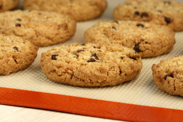 chocolate chip cookies