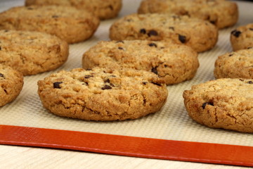 chocolate chip cookies