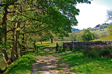 Image of Typical beautiful British countryside with trees and an old gate in a rustic setting in the Derwent Valley Derbyshire U.K.  printed on Printed Glass Splashbacks