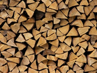 Holz / Wood