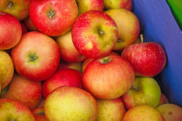 frische Äpfel auf dem Wochenmarkt