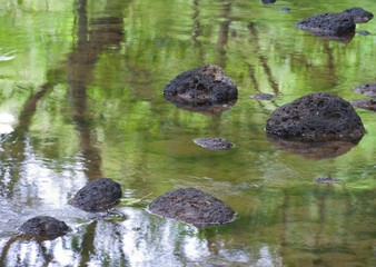 Water flowing, stream with trees reflection