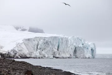 Deurstickers Arctic glacier © Vladimir Melnik