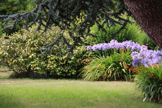 Jardin