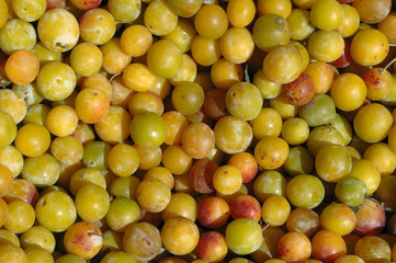 mirabelles
