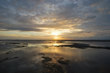the scene of sunrise on the beach