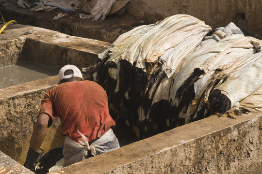 Traditional tannery in Marrakesh in Morocco