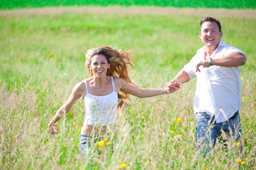 Fototapeta premium Summer meadow