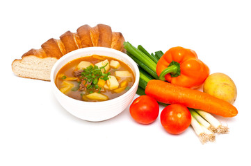 fresh beef and vegetable soup