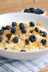 Müsli mit Früchten in einer weissen Schale