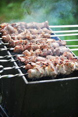 meat slices