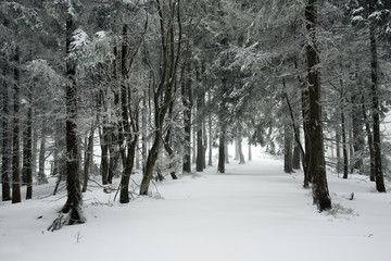 Zima w polskich gorach, Beskidach