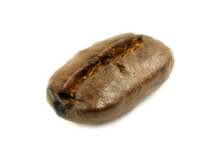 Coffee grain close-up