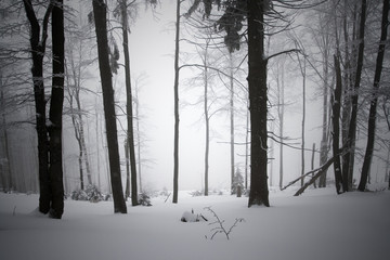 Zima w polskich gorach, Beskidach