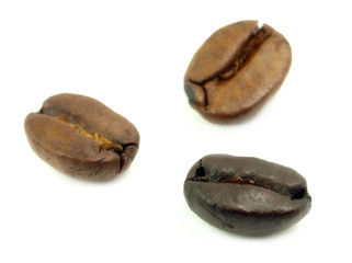Coffee grains close-up