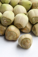 Świeże orzechy laskowe wprost z ogrodu