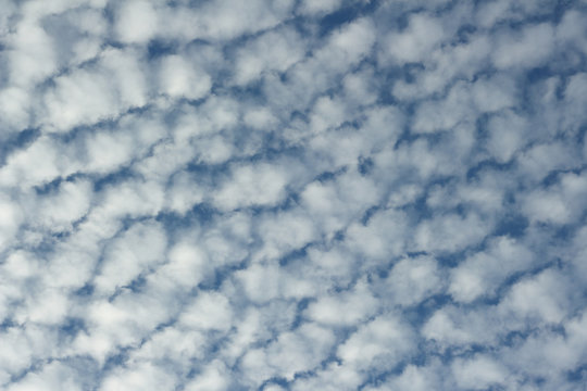 Altocumulus clouds